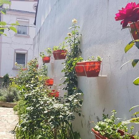 Garden Apartments 贝尔格莱德 外观 照片