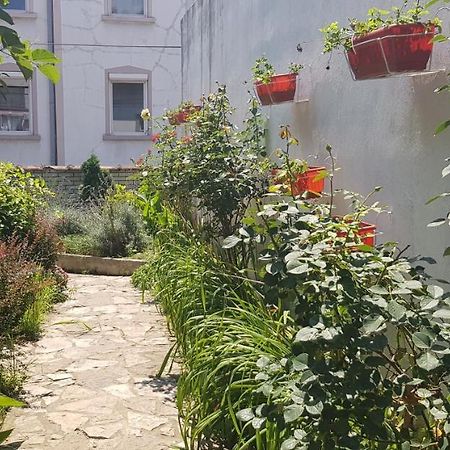 Garden Apartments 贝尔格莱德 外观 照片
