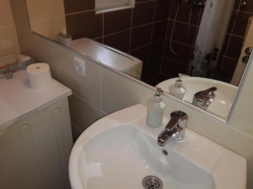 Garden Apartments 贝尔格莱德 外观 照片