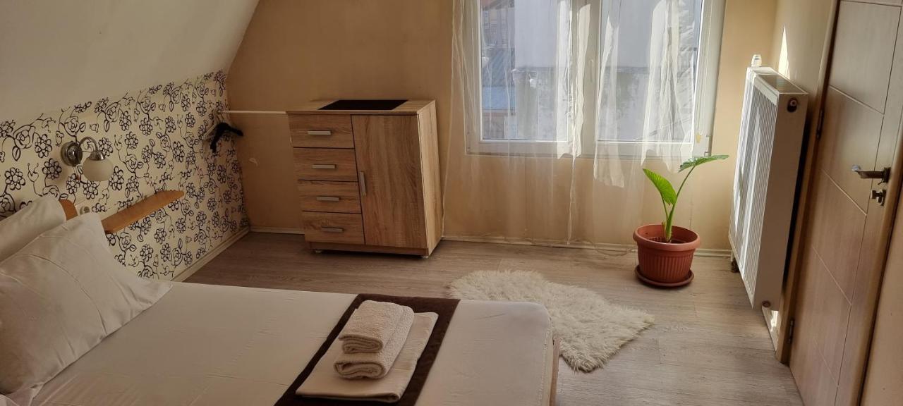 Garden Apartments 贝尔格莱德 外观 照片