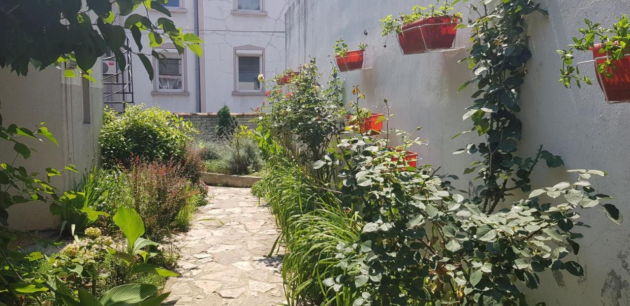 Garden Apartments 贝尔格莱德 外观 照片