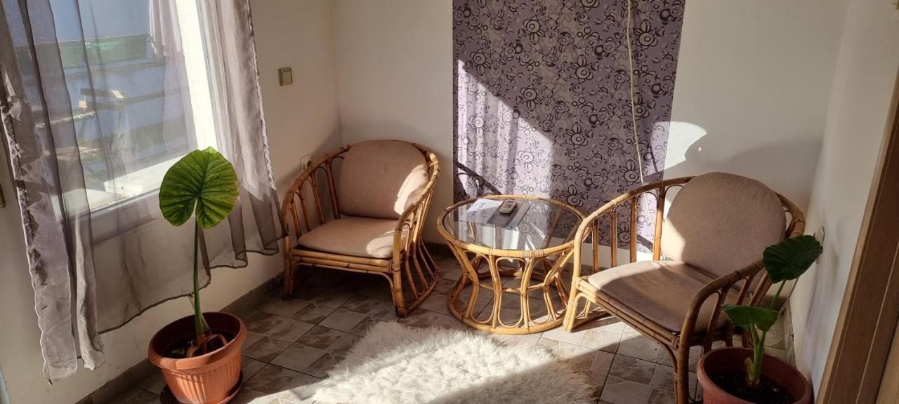 Garden Apartments 贝尔格莱德 外观 照片